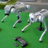 Image de robots